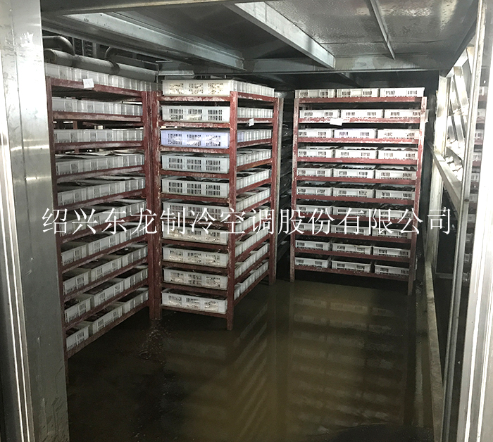 甘肃专业的流态化速冻机价格