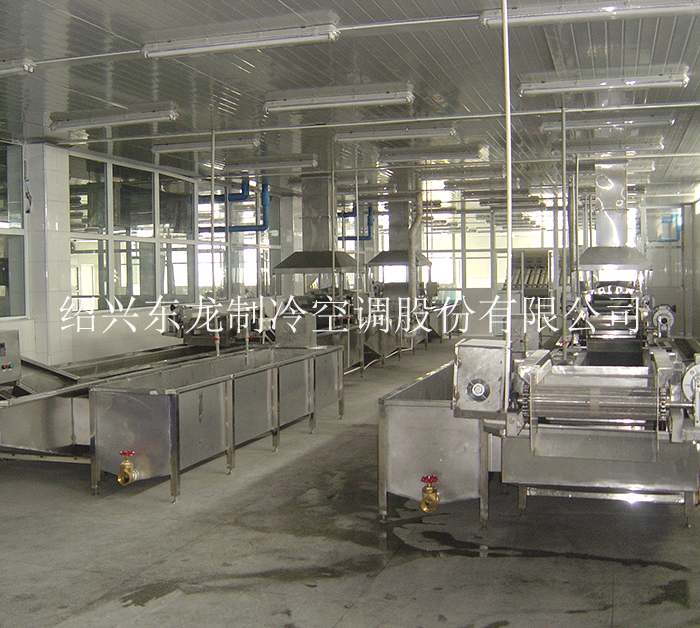 杭州高质量的玉米粒速冻生产线厂家