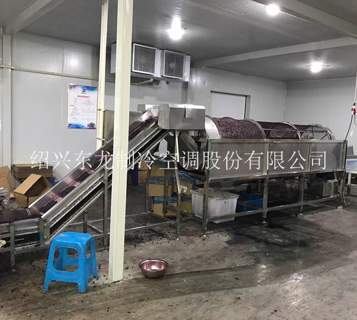 上海蓝莓速冻生产线